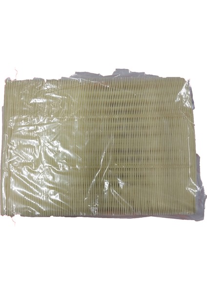 Filtre Hava Crafter 2,5 Tdı 06 fiyatları