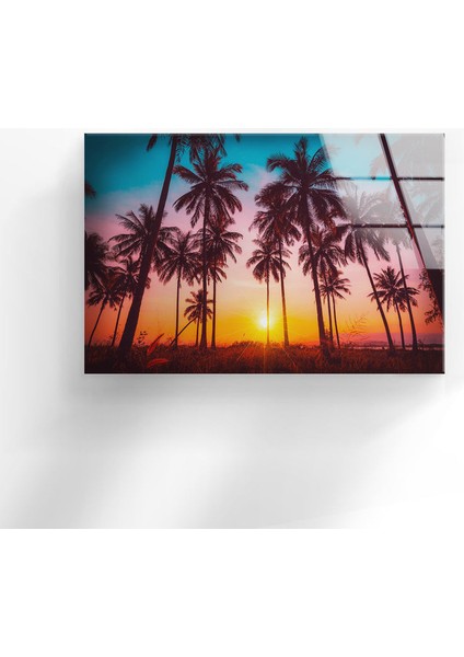 Tropik Palmiye Ağaçları Temperli Cam Duvar Tablosu fırsatları