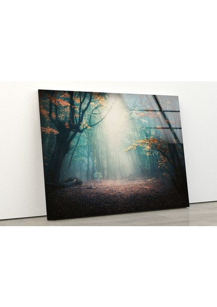 Orman Manzarası Temperli Cam Duvar Tablosu fiyatları