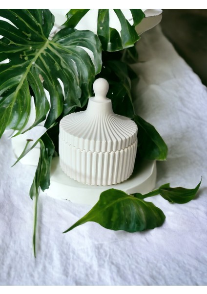 Kapaklı Kutusu, Çizgili Kutusu, Organizer, Takı Kutusu fiyatları