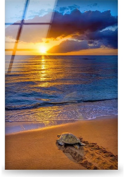 Deniz Gün Batımı Manzarası Cam Duvar Tablosu