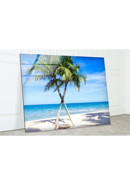 Tropik Palmiye Ağacı Temperli Cam Duvar Tablosu