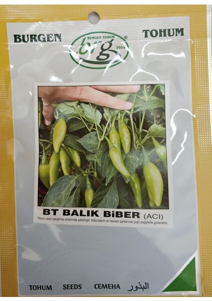 Tarımsal Balık Biberi Bursa Tohum