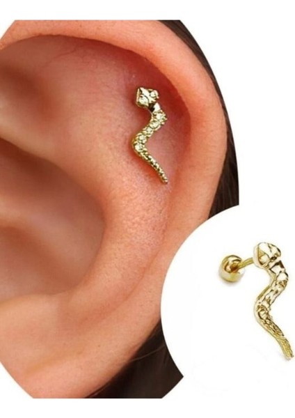 Paslanmaz Kararmaz Cerrahi Çelik Yılan Tragus, Kıkırdak, Helix 8mm Piercing (Iki Taraflı Açılabilir) Altın Renk Tek Ebat Beden