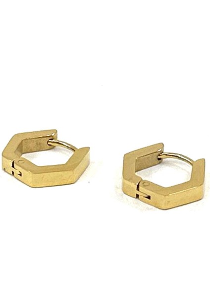Altın Renk Altıgen Unisex Küpe EAR14 fiyatları