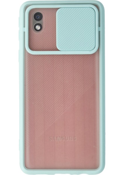 Samsung Galaxy A01 Core Kılıf Palm Buzlu Kamera Sürgülü Silikon - Turkuaz 300099