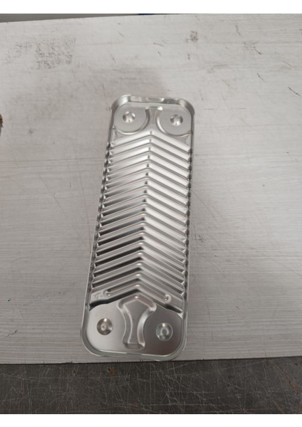 Protherm Jaguar Condens 12 Plaka Eşanjör