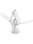 Kanatlı Alçıpan Dübeli 2 mm (PKT/500 Adet) 1