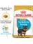 Yorkshire Terrier Junior Yavru Köpek Maması 1,5 kg 2