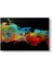 Colorful Swirl Panorama Kanvas Tablo 1