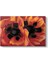 Georgia Okeeffe - Oriental Poppies Kanvas Tablo 1