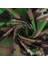 Siyah Stil Uv Protection Ice Silk Face Cover Neck Tube Outdoor Sports Bandana Scarf Breathable Hiking Scarf Neck Gaiter Bandana (Yurt Dışından) 5
