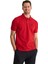 Erkek Kısa Kollu Polo Yaka T-Shirt - 22SMEPK6100003 1