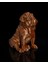 Köpek Pug Kahverengi Boyalı Figür 12 cm 2
