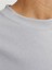 Regular Fit Gri Erkek T-Shirt 12253435 3