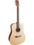 SD204 Dreadnought Akustik Gitar (Parlak Natural) 1