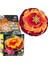 BB89 Beyblade Metal Fusıon Sun God Wl-Fırlatıcısız 1