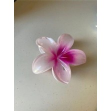 Dzc Kuzenler Avm Lotus Çiçeği Mandal Toka