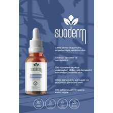 Suoderm Akne Serum Aha %6 Bha %2 Cadı Fındığı Ekstresi % 2 Çay Ağacı Yağı %0.1