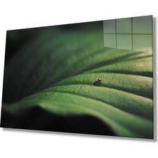 Miraax Yeşil Yaprak Cam Tablo   Green Leaf