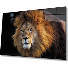 Miraax Aslan Cam Tablo