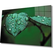 Miraax Su Damlaları Yaprak  Yeşil Cam Tablo
