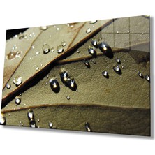 Miraax Su Damlaları Yaprak Cam Tablo