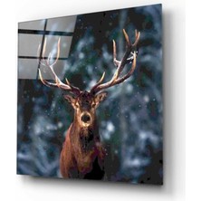 Miraax Geyik Cam Tablo 50X50 cm