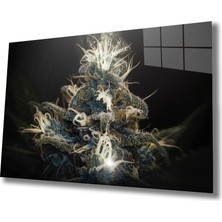 Miraax Sualtı Yaşam Cam Tablo Marine Life