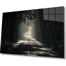 Miraax Ağaçlı Yol Cam Tablo   Parkway