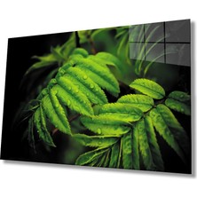 Miraax Su Damlası Yeşil Yapraklar Cam Tablo