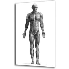 Miraax Spor Fıtnes Cam Tablo