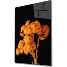 Miraax Sarı Turuncu Çiçek Cam Tablo Yellow Orange Flower