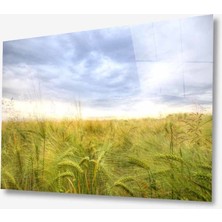 Miraax Doğa Cam Tablo