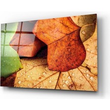 Miraax Yapraklar Cam Tablo
