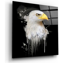 Miraax Kartal Cam Tablo