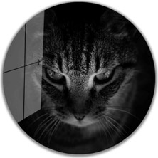 Miraax Kedi Yuvarlak Cam Tablo 4mm Dayanıklı Temperli Cam