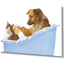 Miraax Kedi Köpek Cam Tablo