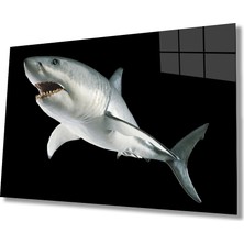 Miraax Köpek Balığı Hayvan Cam Tablo