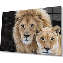 Miraax Aslan Cam Tablo