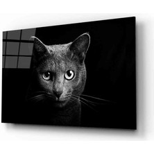 Miraax Kedi Hayvan  Cam Tablo