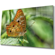 Miraax Kelebek Yeşil Cam Tablo