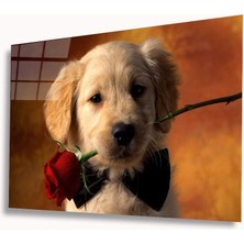 Miraax Köpek ve Gül Cam Tablo