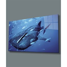 Miraax Sualtı Hayvanlar Cam Tablo Marine Life