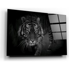 Miraax Kaplan Cam Tablo