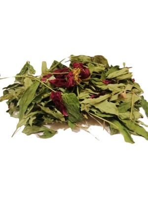 AKTARZANE şakayık Otu Tıbbi Şakayık Paeonia Officinalis Ayıgülü 30GR