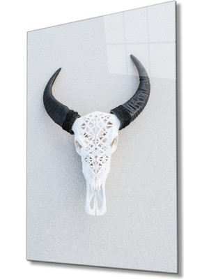 Miraax Boynuz Cam Tablo