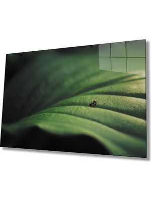 Miraax Yeşil Yaprak Cam Tablo   Green Leaf