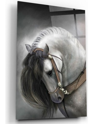 Miraax Yılkı Atı Cam Tablo