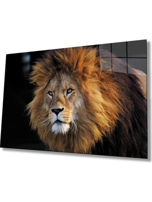 Miraax Aslan Cam Tablo